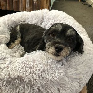 Meet your Posher, Crystal